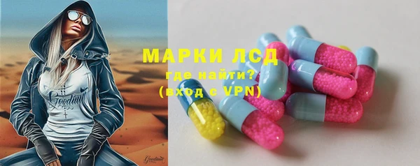индика Киренск